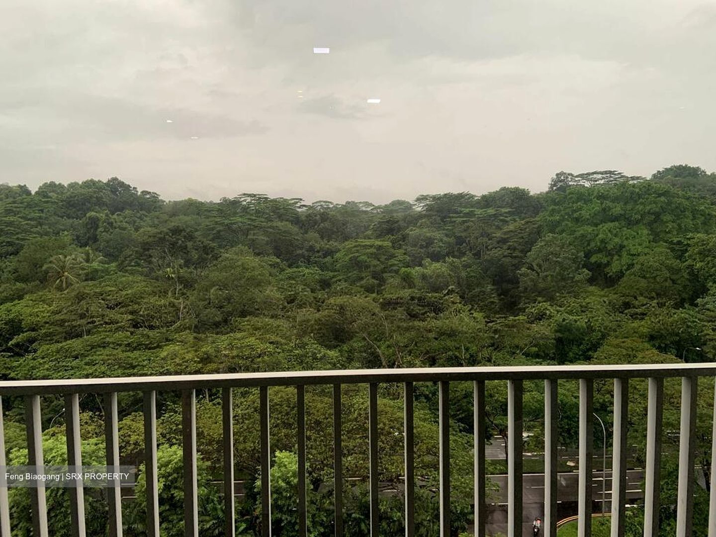 Meadows @ Peirce (D26), Condominium #497222091